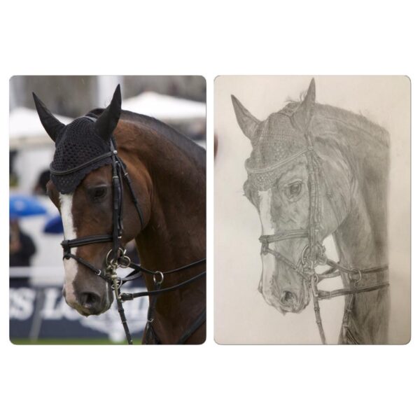 Portrait cheval personnalisé d'après photo