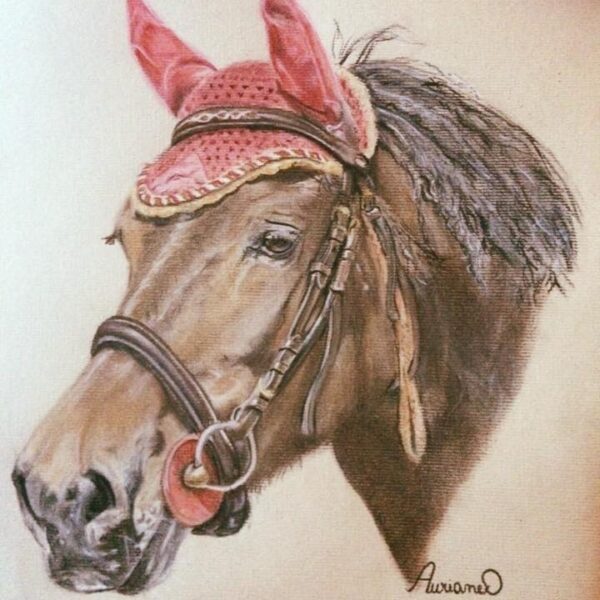 2016 Nestor , mon tout premier pastel