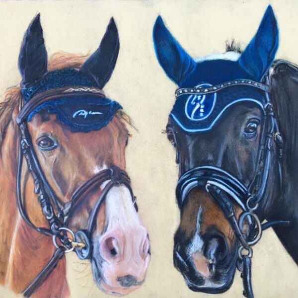 pastels secs animaliere Portrait sur commande, portrait animalier cheval