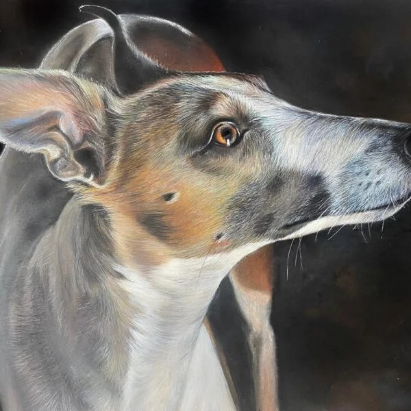 Portrait chien personnalisé d'après photo sur commande , art animalier