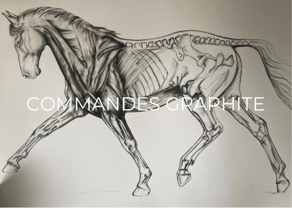 Commandes aux graphites