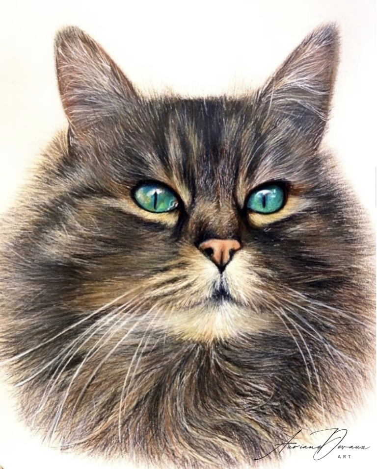 Galerie , portrait animalier chat