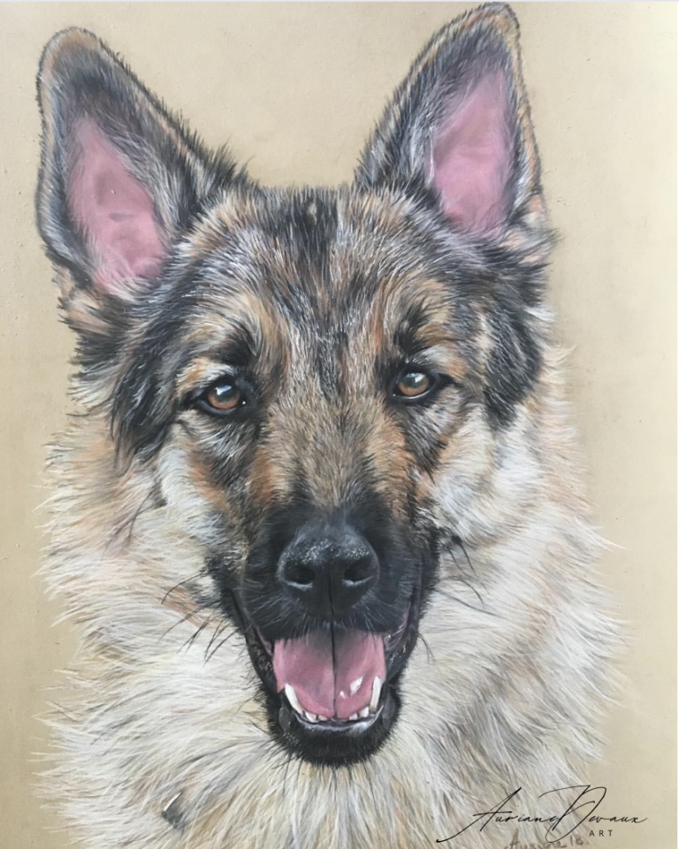 Galerie , portrait personnalisé chien
