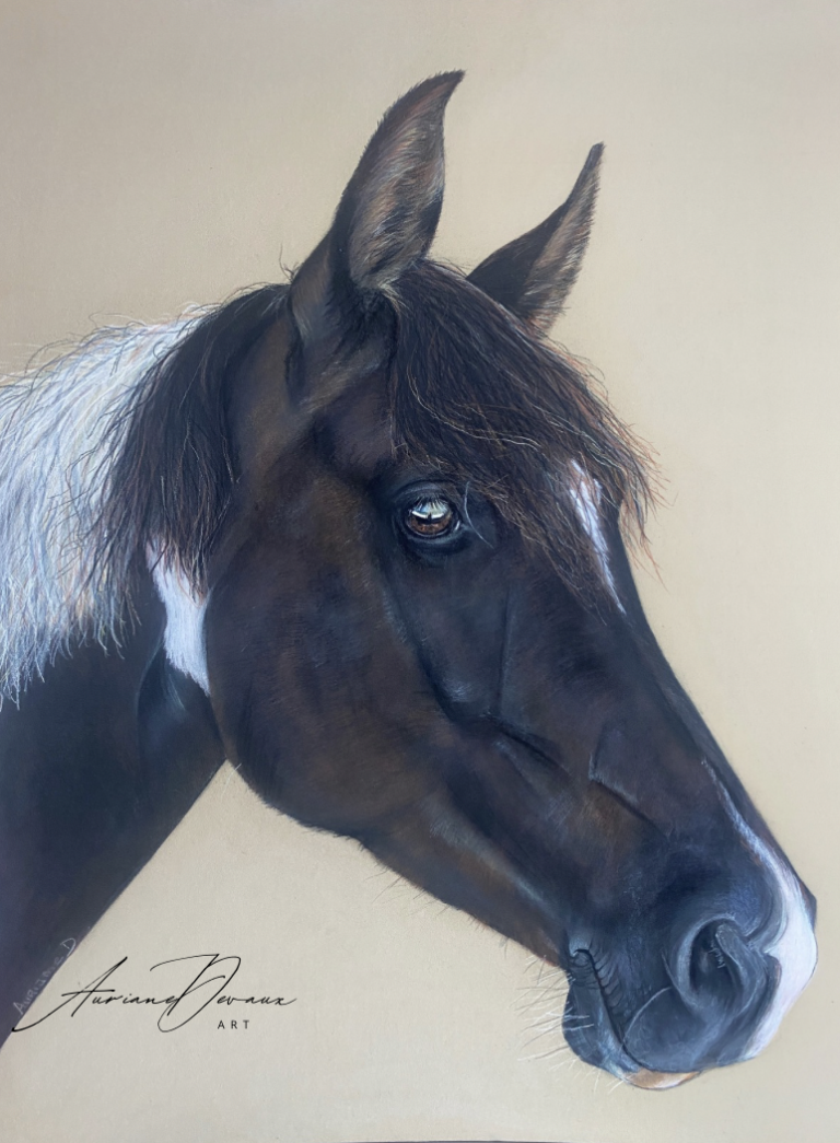 Galerie , portrait personnalisé cheval , cheval pie , pastel sec