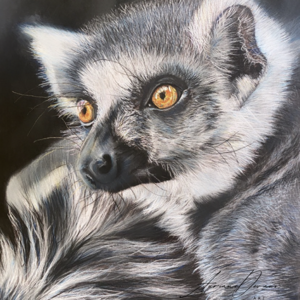 boutique Lémurien - originaux aux pastels dessin faune sauvage pastels secs animal sauvage art animalier