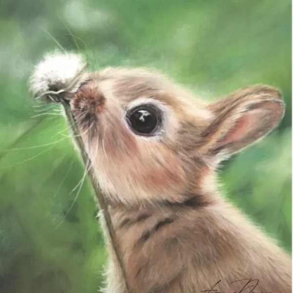 peinture animaliere , portrait animal personnalisé , lapin art animalier portrait animalier sur commande