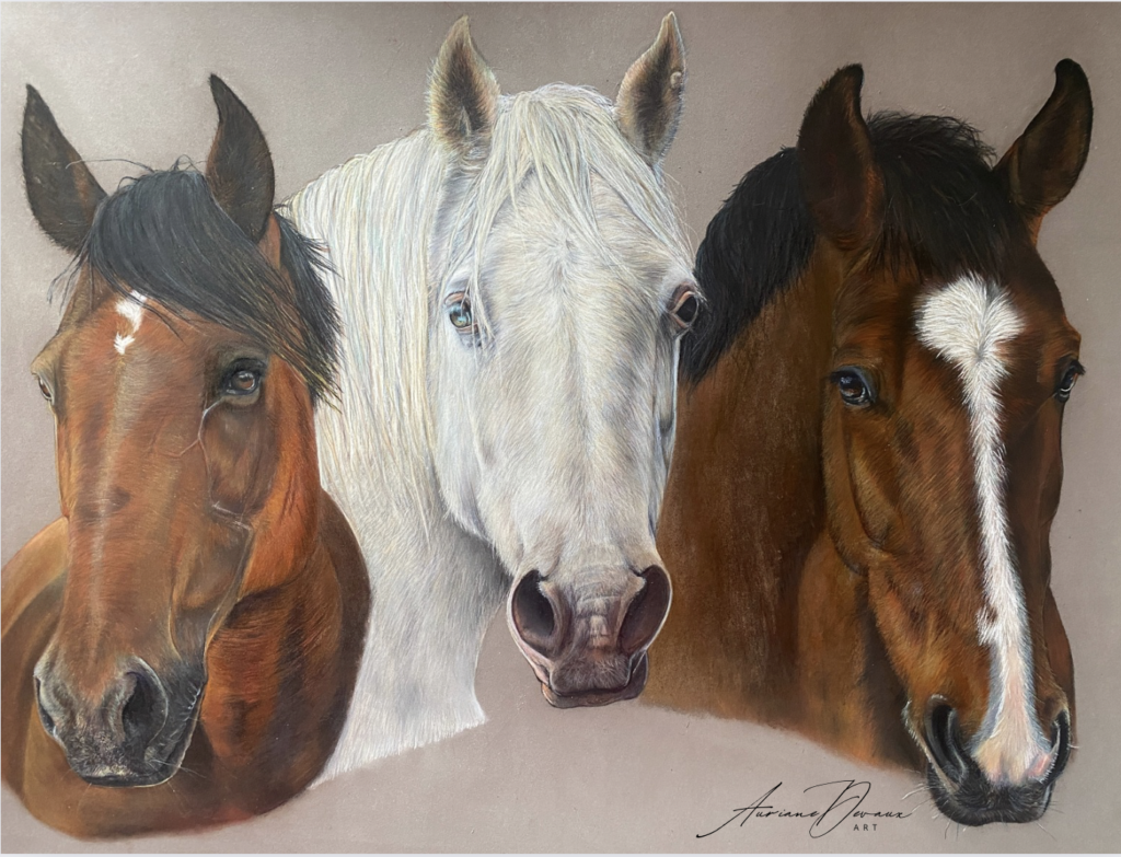 Galerie commande portrait chevaux , hommage cheval , pastels secs cheval