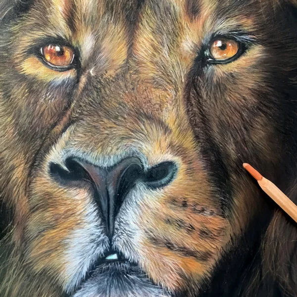 La Technique des Pastels Secs