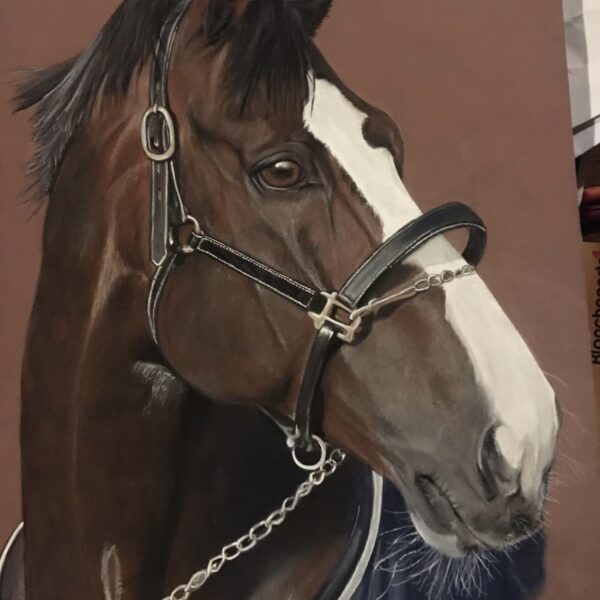 Portrait personnalisé chevaux cheval