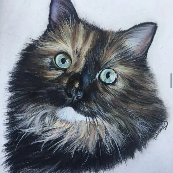 Portrait animalier de chat personnalisé