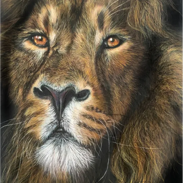 art animalier