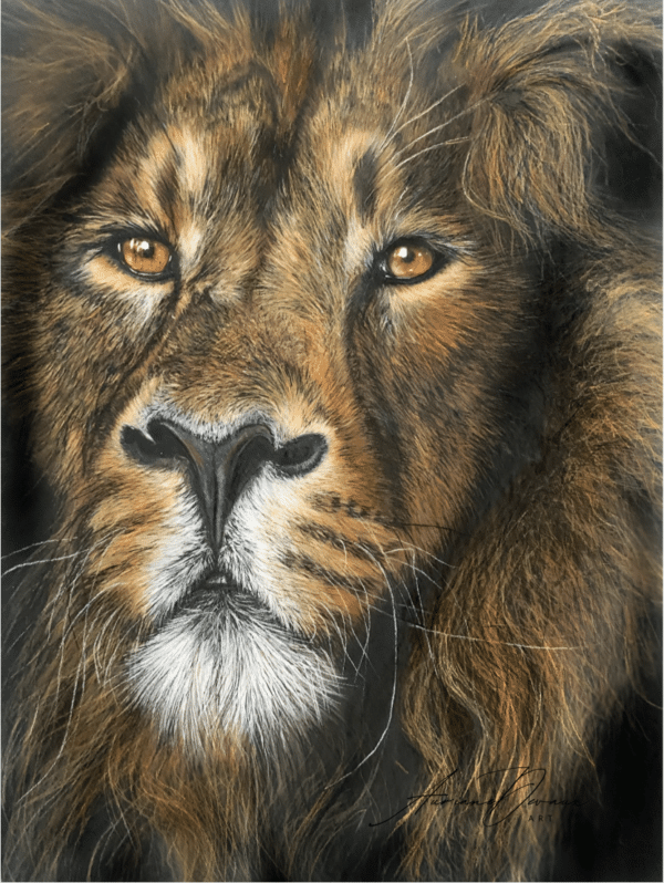 art animalier