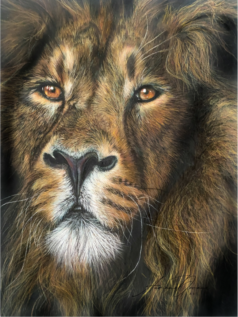 Originaux aux pastels - Le lion