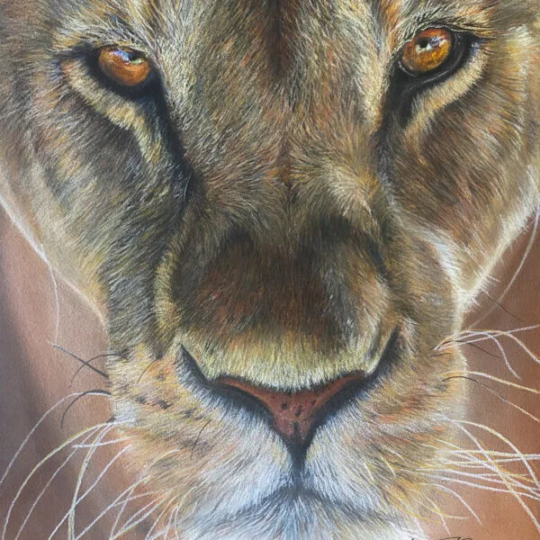 La Lionne