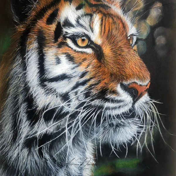 Processus de Création d'un Portrait Animalier - le tigre - pastel secs , art animalier