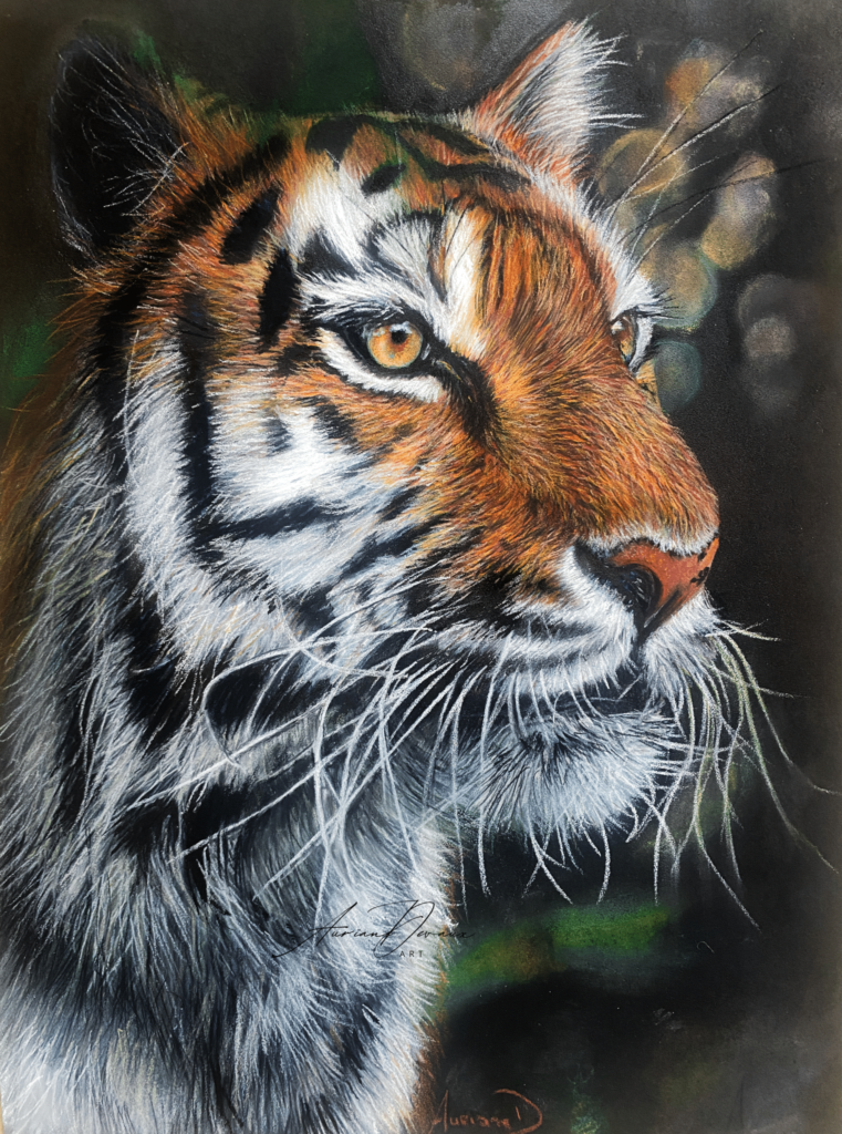 Processus de Création d'un Portrait Animalier - le tigre - pastel secs - préservation