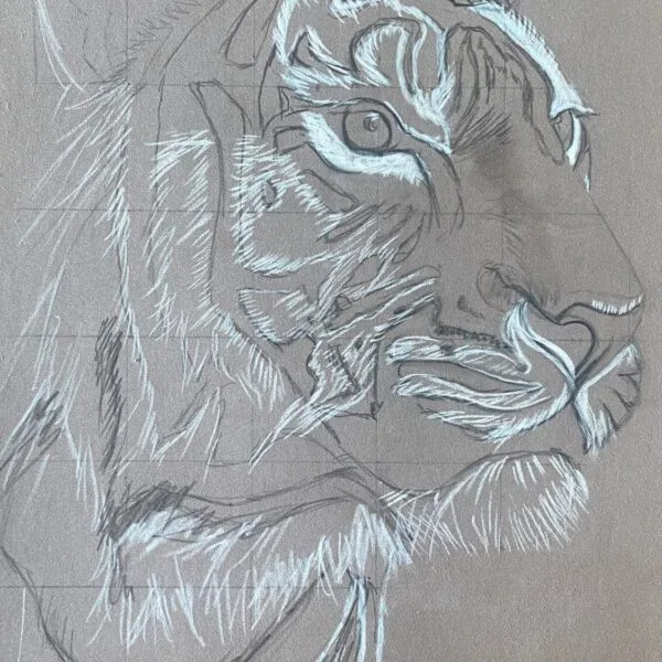Processus de Création d'un Portrait Animalier tigre pastels secs Art animalier