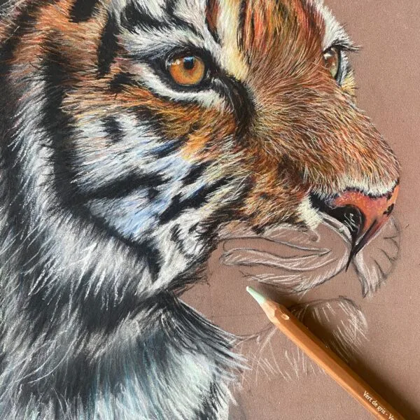 Pastels secs - technique - Art animalier