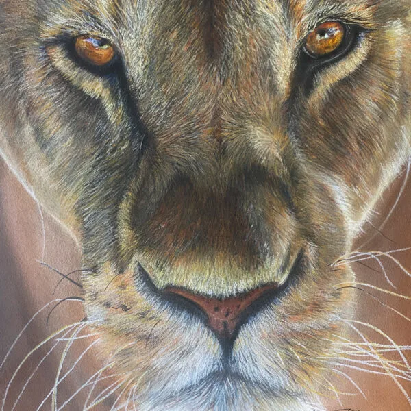 art animalier