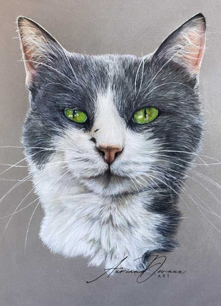 portrait animalier chat Pastels secs