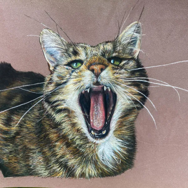Portrait animalier de chat personnalisé au pastel sec.