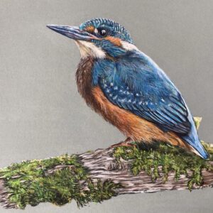Le Martin pêcheur