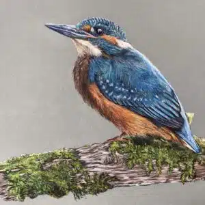 Le Martin pêcheur