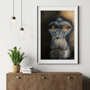 Impression Fine Art – Gelada