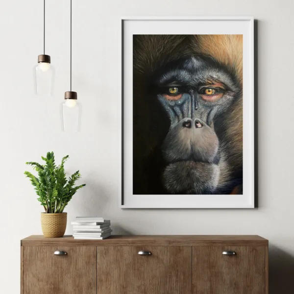 Impression Fine Art Gelada