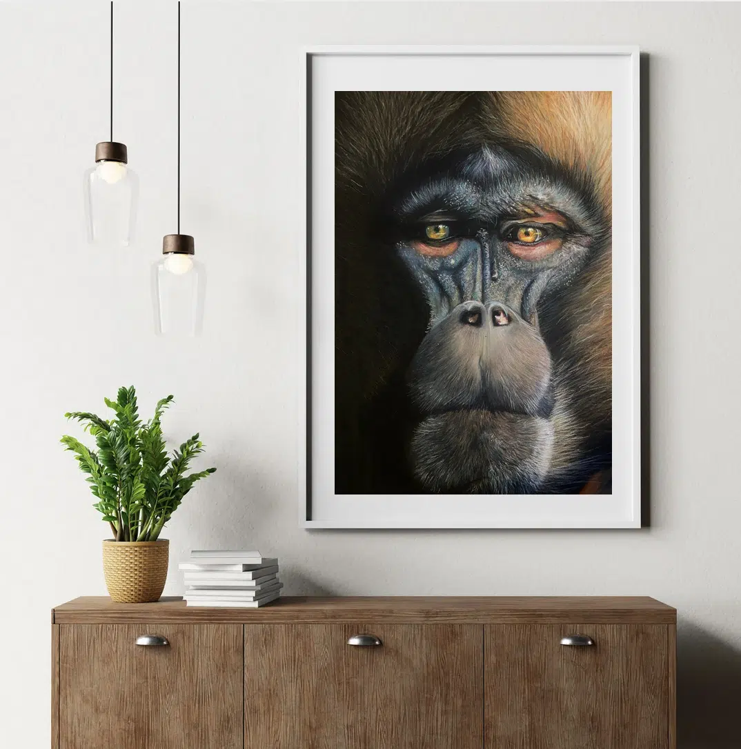 Impression Fine Art - Gelada