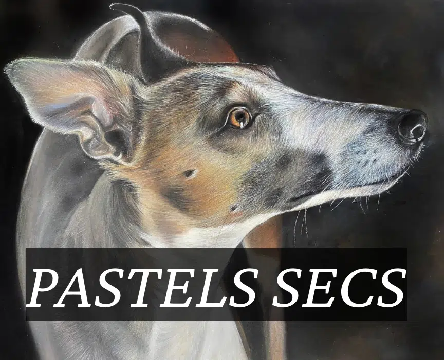 Galerie art animalier ,portrait animal sur commande, portrait animal personnalisé