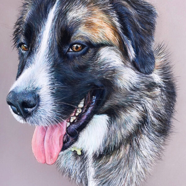 Portrait personnalisé chien , art animalier ,
