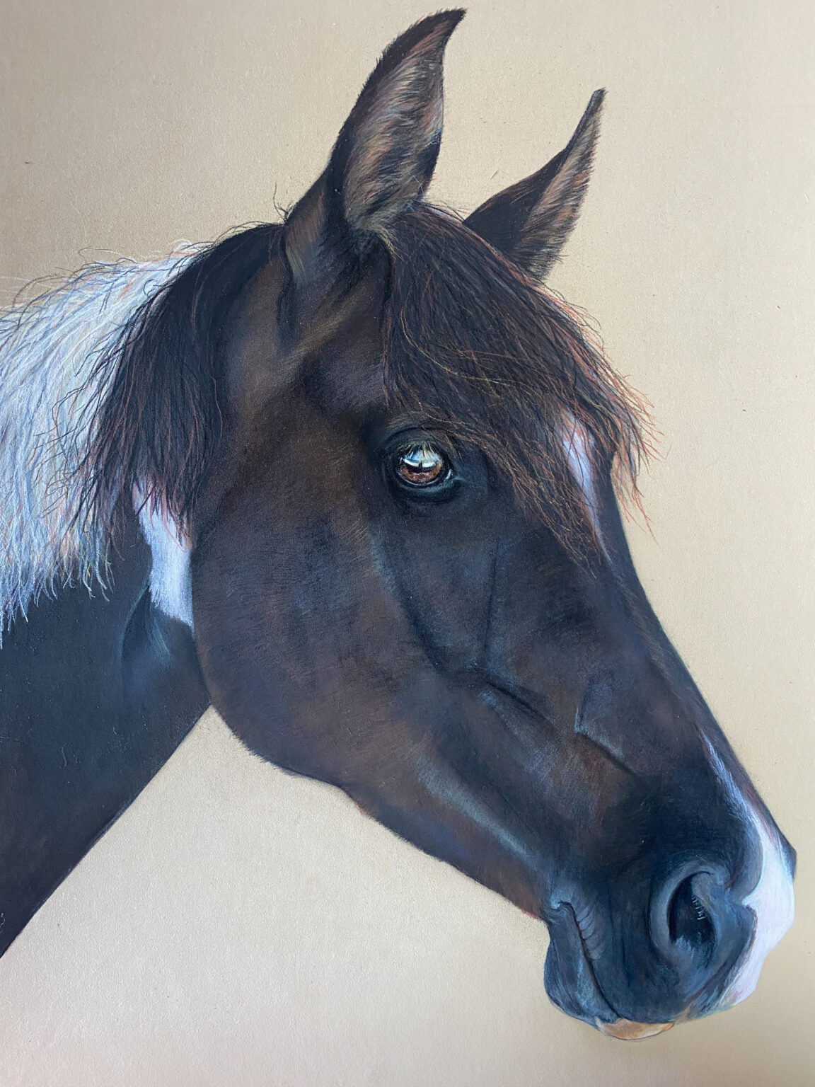 Portrait animalier sur commande personnalisé cheval, portrait animalier cheval