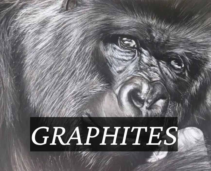 Galerie art animalier ,portrait animal sur commande, portrait animal personnalisé