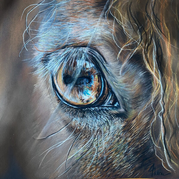 pastel secs oeil cheval