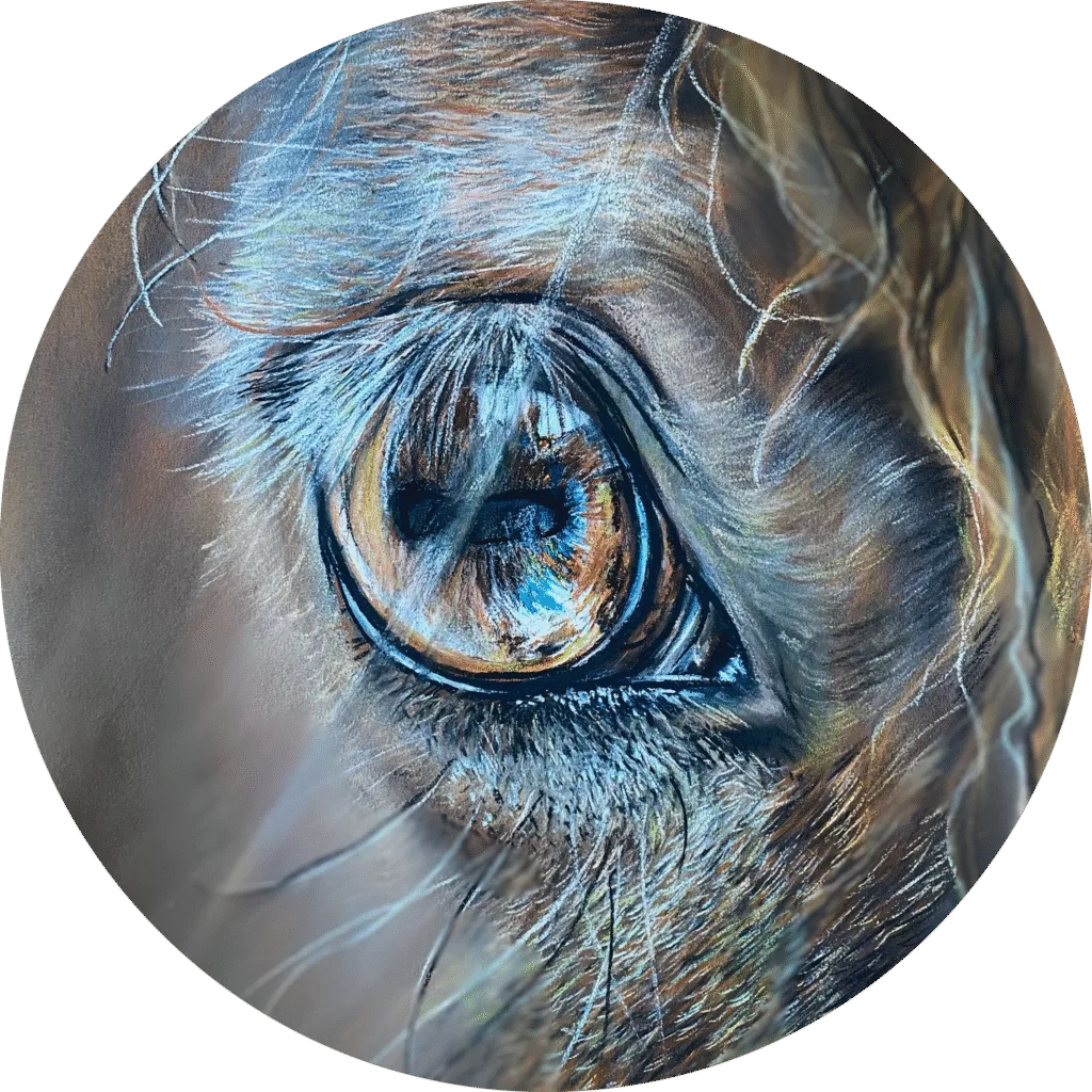 Portrait animalier sur commande