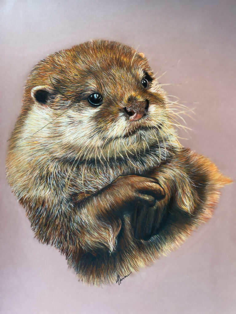 Loutre des mers , pastels secs , portrait animalier art animalier