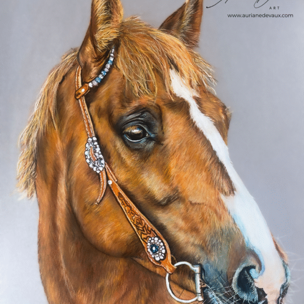 pastel animalier , peintre animalier , cheval portrait sur commande