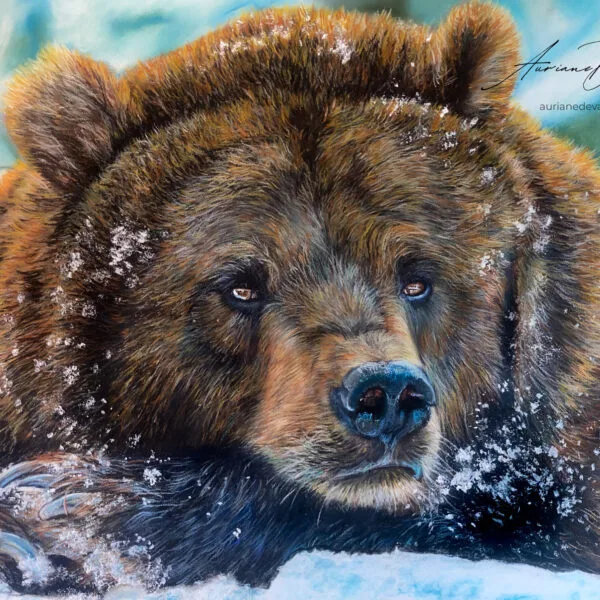 ours brun , animal totem