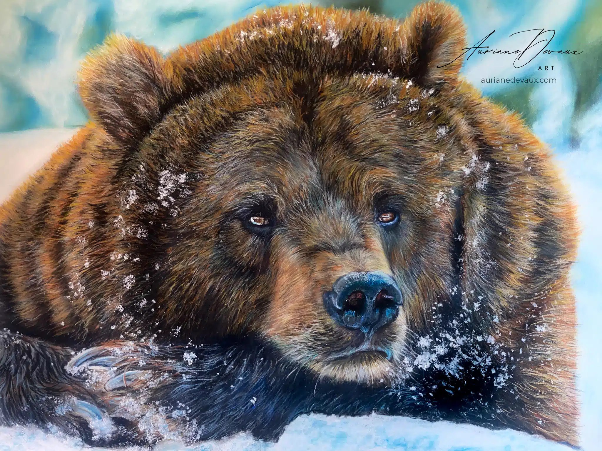 ours brun , animal totem