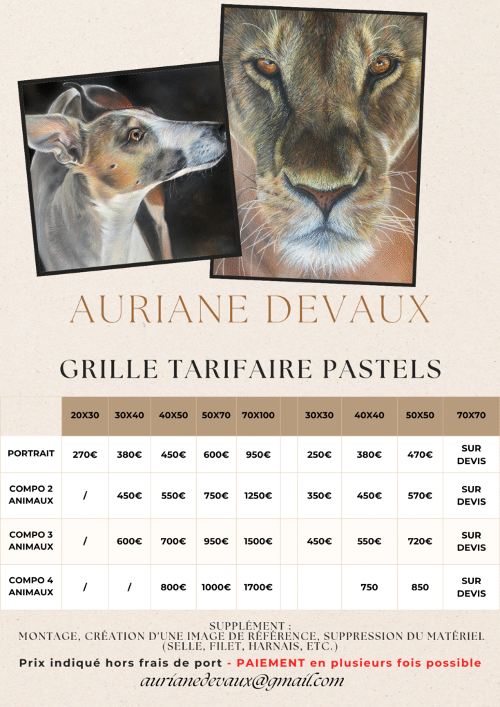 tarif pastels secs Auriane Devaux