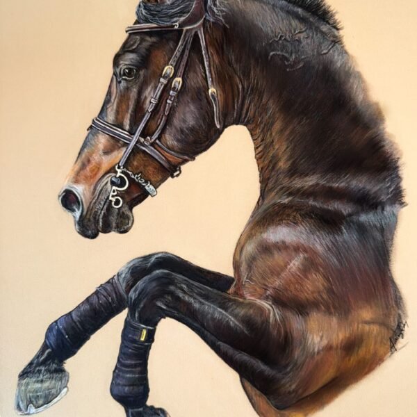 Homer de muze , jumping horse , cheval