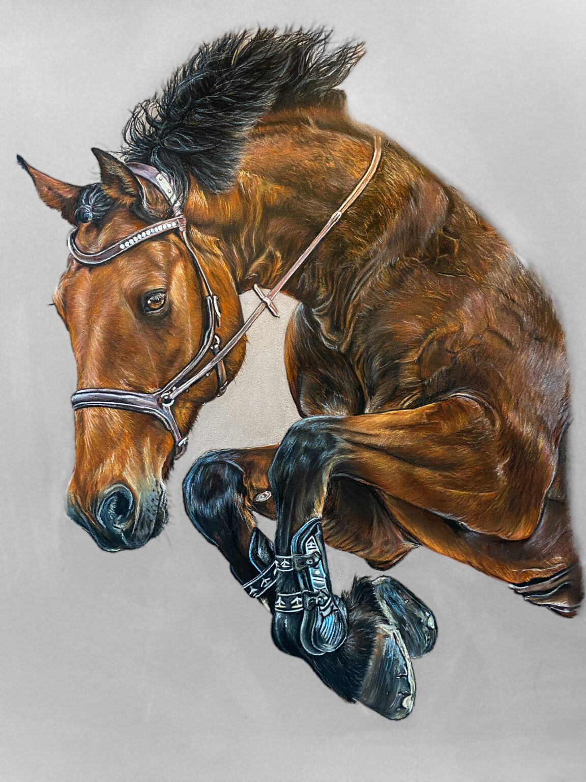 Vaillant , cheval , devaillant