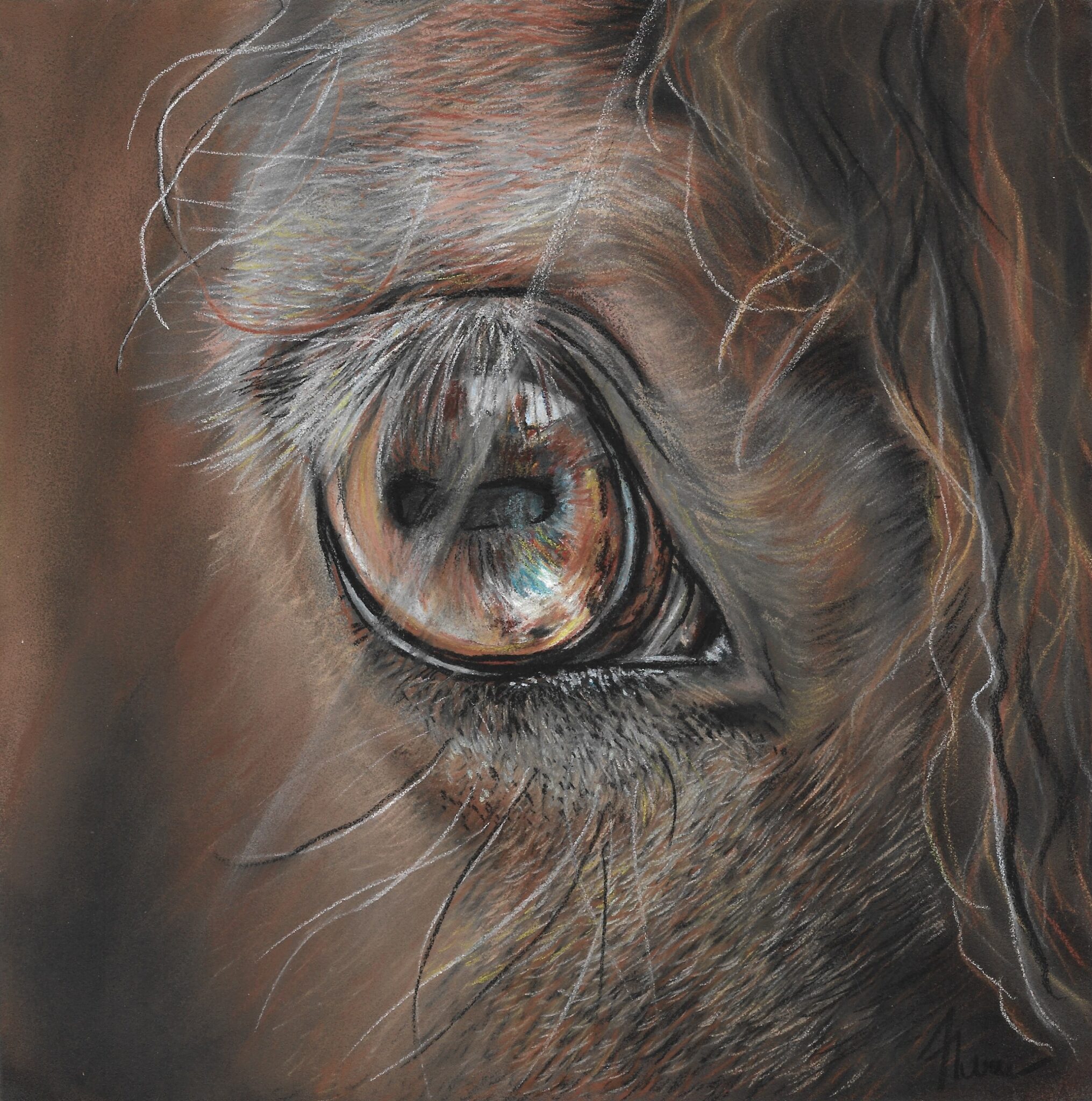 oeil de cheval , pastels secs sur Pastelmat
