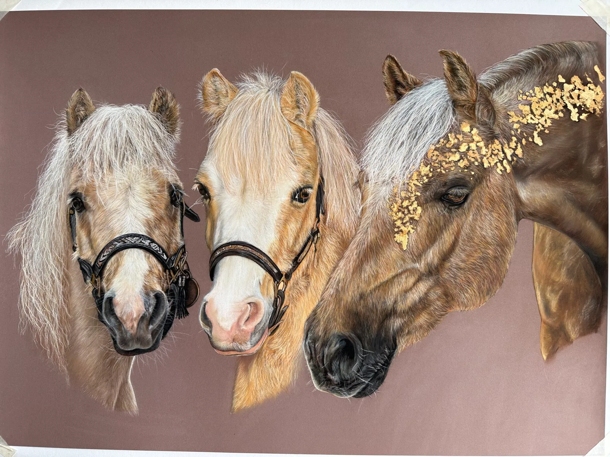 palomino family , poney palomino welsh pony