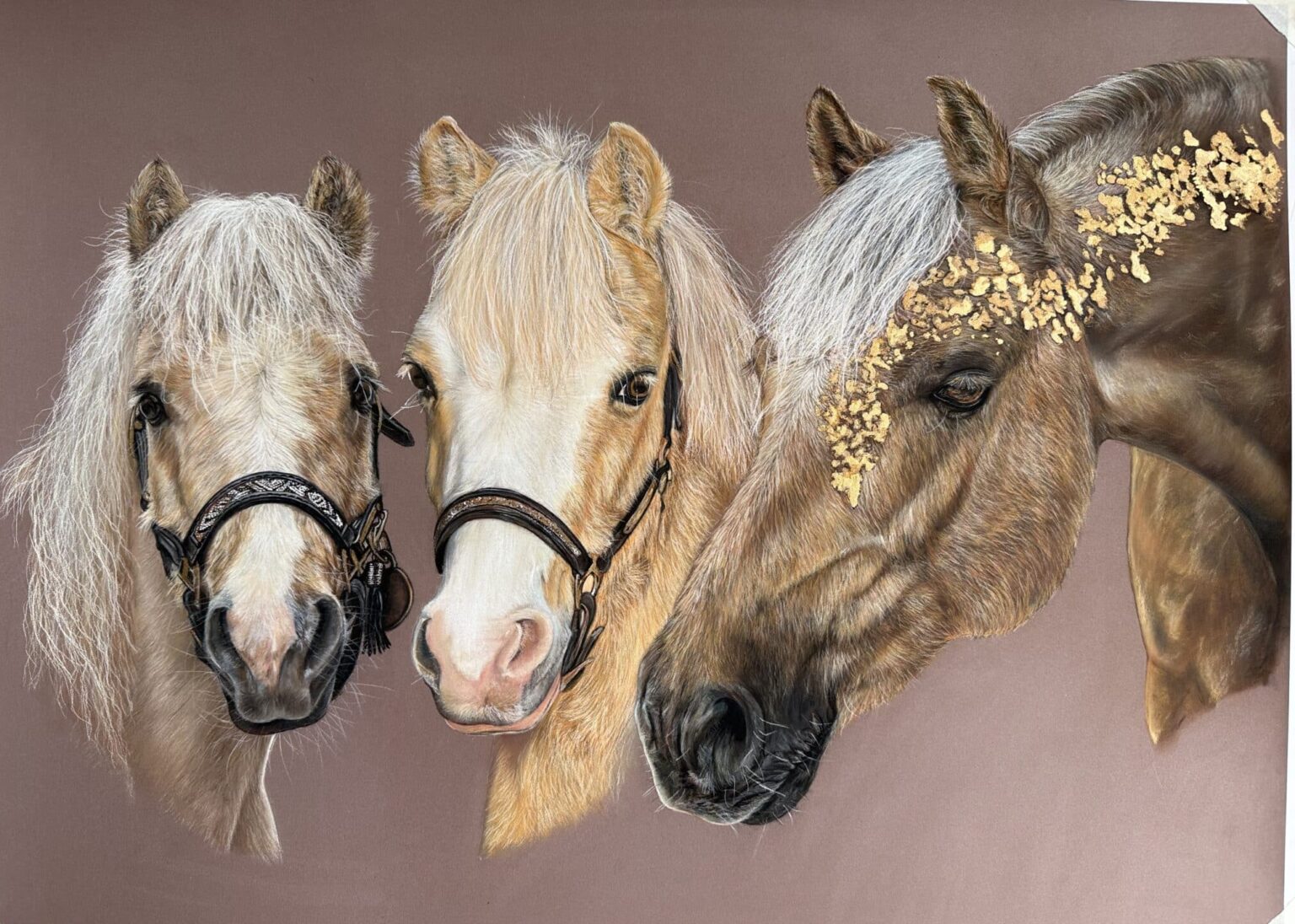 palomino family , poney palomino welsh pony