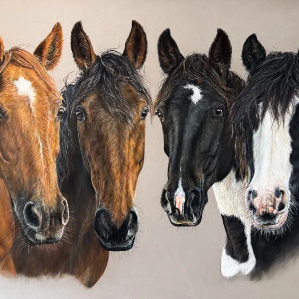 composition chevaux