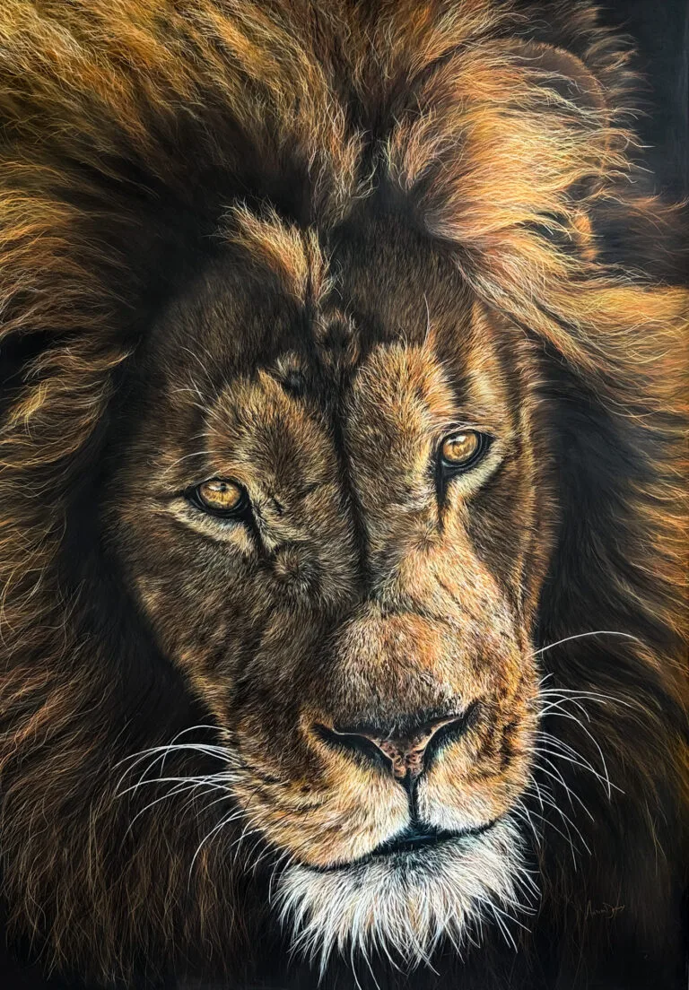Lion pastel sec